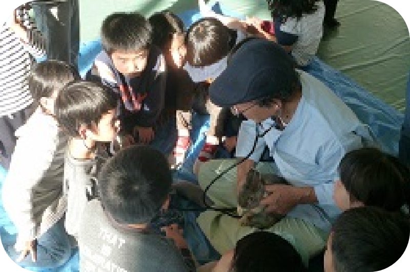 ウサギを抱えながら子供に囲まれて話す獣医師の画像